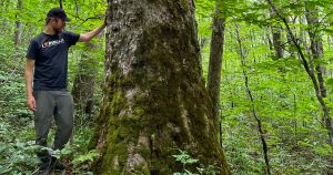 Nantahala NF, the Buck Project