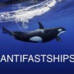 orca with antifastships written underneath as a play on antifascists