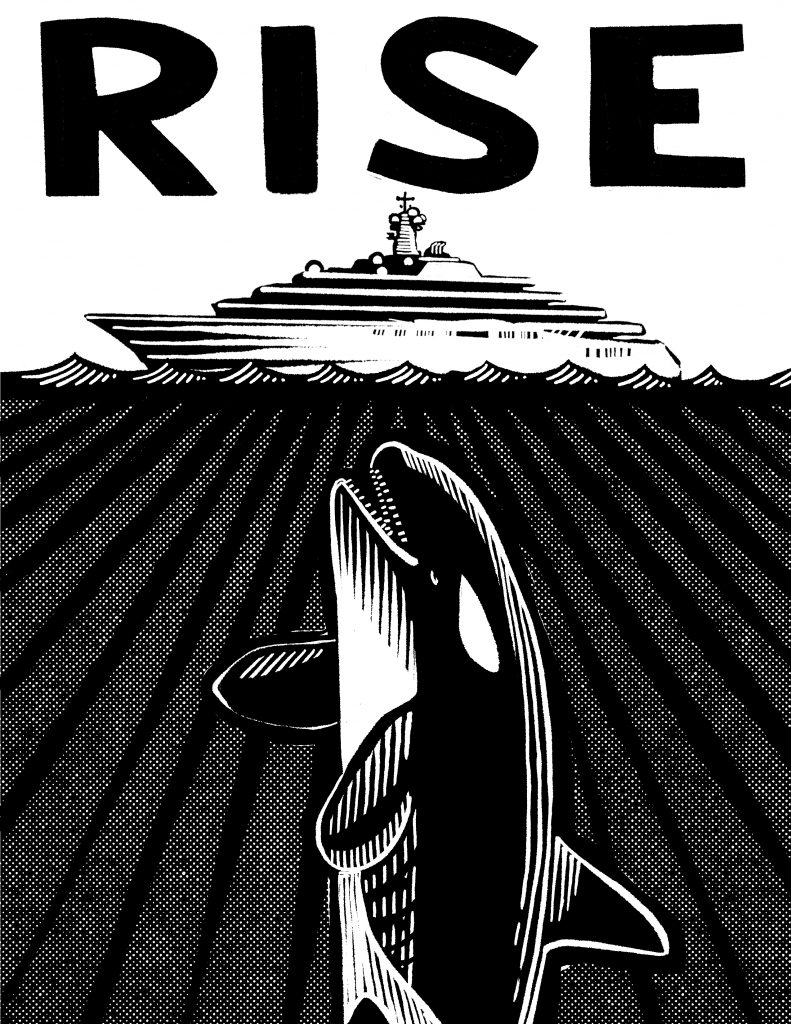 orca print by Roger Peet